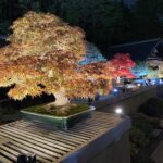 寒露、十五夜のお便り